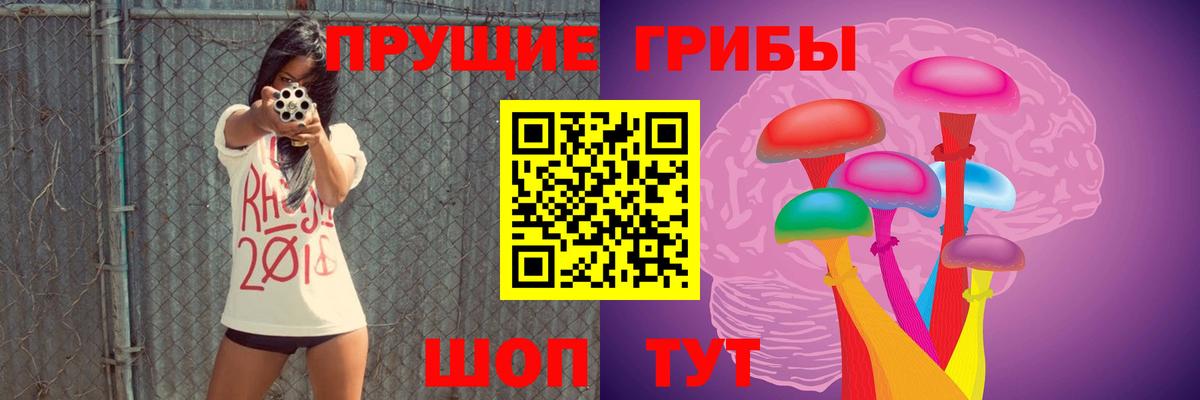 Галлюциногенные грибы мицелий  Вход с VPN  Кинешма  как найти   Галлюциногенные грибы Magic Shrooms 