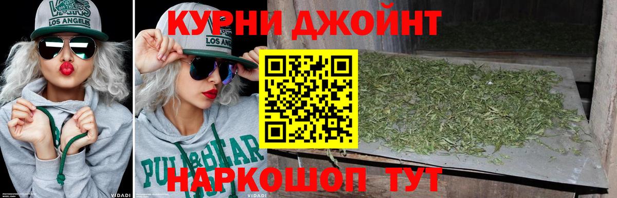 Шишки марихуана план  Конопля конопля  Бошки Шишки план  Вход с VPN  Кинешма 